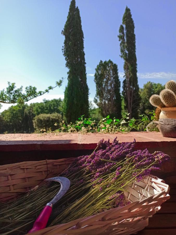Agriturismo Podere Le Palaie Monterotondo  Esterno foto