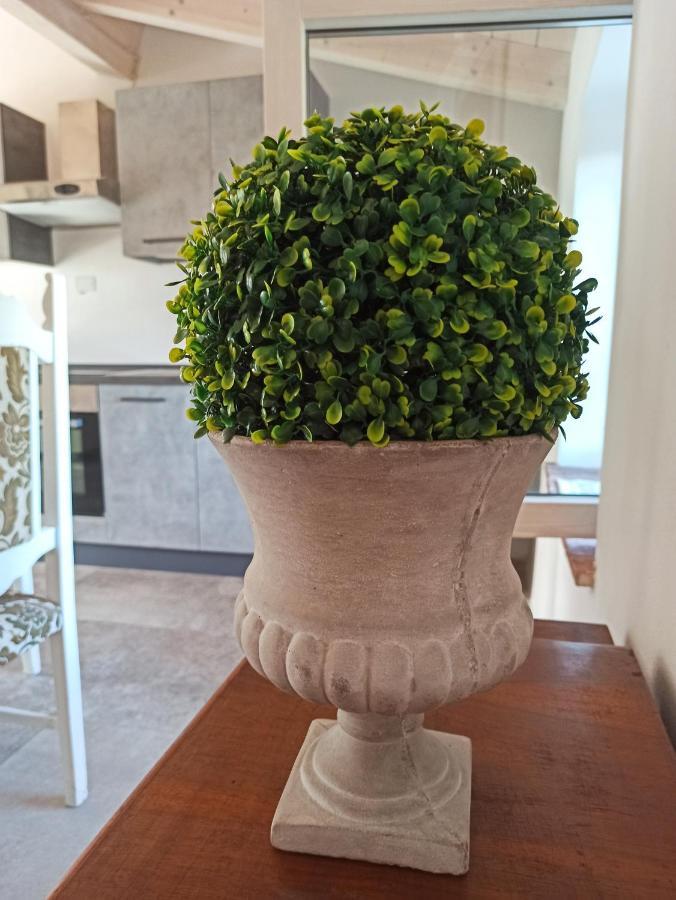 Agriturismo Podere Le Palaie Monterotondo  Esterno foto