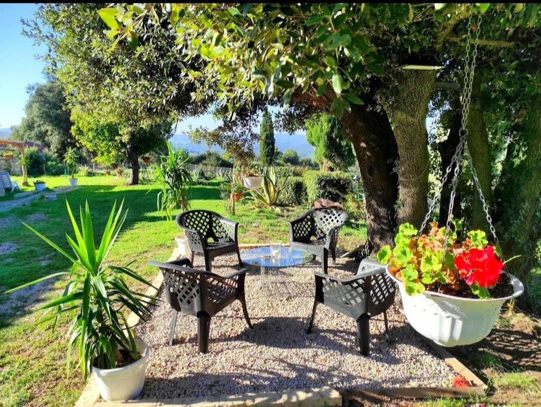Agriturismo Podere Le Palaie Monterotondo  Esterno foto